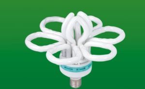 丁小兵 引領節能產品技術開發的創新者