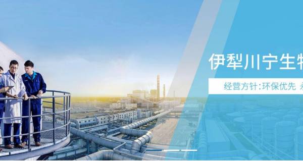 伊犁寧生物技術(shù)股份網(wǎng)絡(luò)營(yíng)銷(xiāo)整合與節(jié)能產(chǎn)品技術(shù)開(kāi)發(fā)雙輪驅(qū)動(dòng)